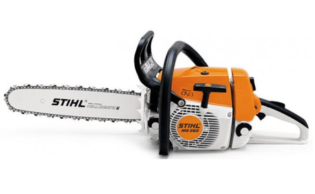 MS 260