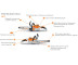 Аккумуляторная цепная пила STIHL MSA 60 C-BQ (без акб и з/у)
