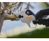 Аккумуляторный секатор STIHL ASA 20 (Без АКБ и З/У)