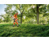 Мотокоса Stihl FS 250