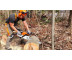 Бензопила Stihl (Штиль) MS 291