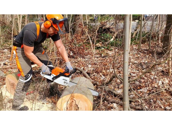 Бензопила Stihl (Штиль) MS 291 Бензопила Stihl (Штиль) MS 291