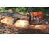Бензопила Stihl MS 661 С-М (Шина 50 см)