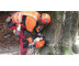 Бензопила Stihl MS 661 С-М (Шина 50 см)