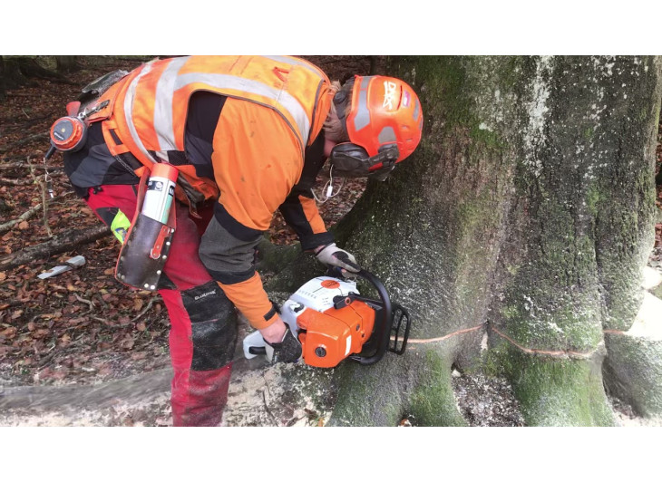 Бензопила Stihl MS 661 С-М (Шина 63 см) Бензопила Stihl MS 661 С-М (Шина 63 см)