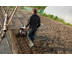 Культиватор STIHL MH 445.1 R