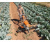 Культиватор STIHL MH 700.1