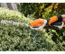 Мотоножницы аккумуляторные Stihl HSА 26 (без акб и з/у)