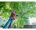 Высоторез бензиновый Stihl HT 105
