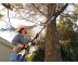 Акумуляторний висоторіз STIHL HТА 50