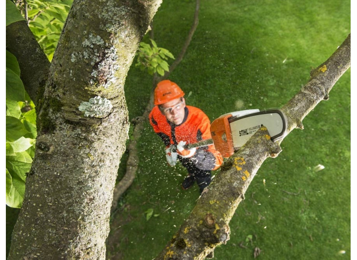Аккумуляторный высоторез STIHL HТА 86 Аккумуляторный высоторез STIHL HТА 86