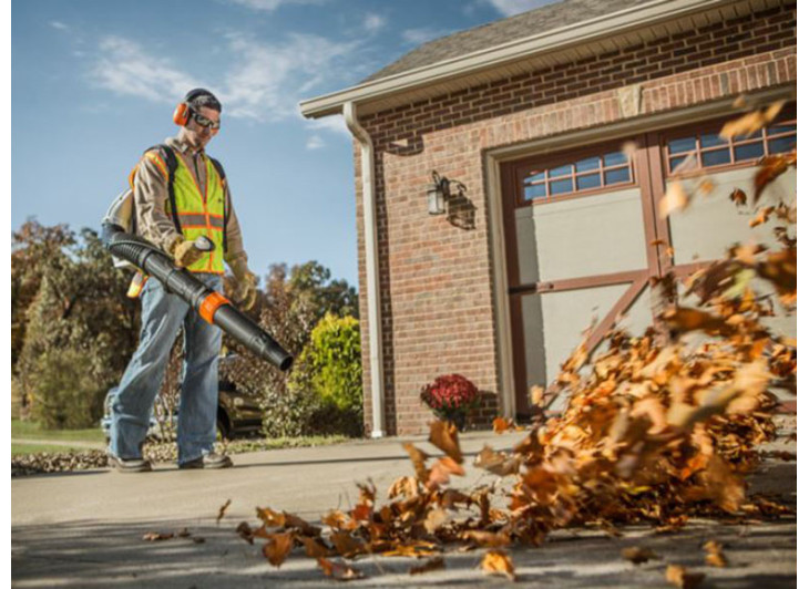 Воздуходувка Stihl BR 700 Воздуходувка Stihl BR 700