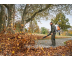 Ранцевая воздуходувка Stihl BR 800 C-E